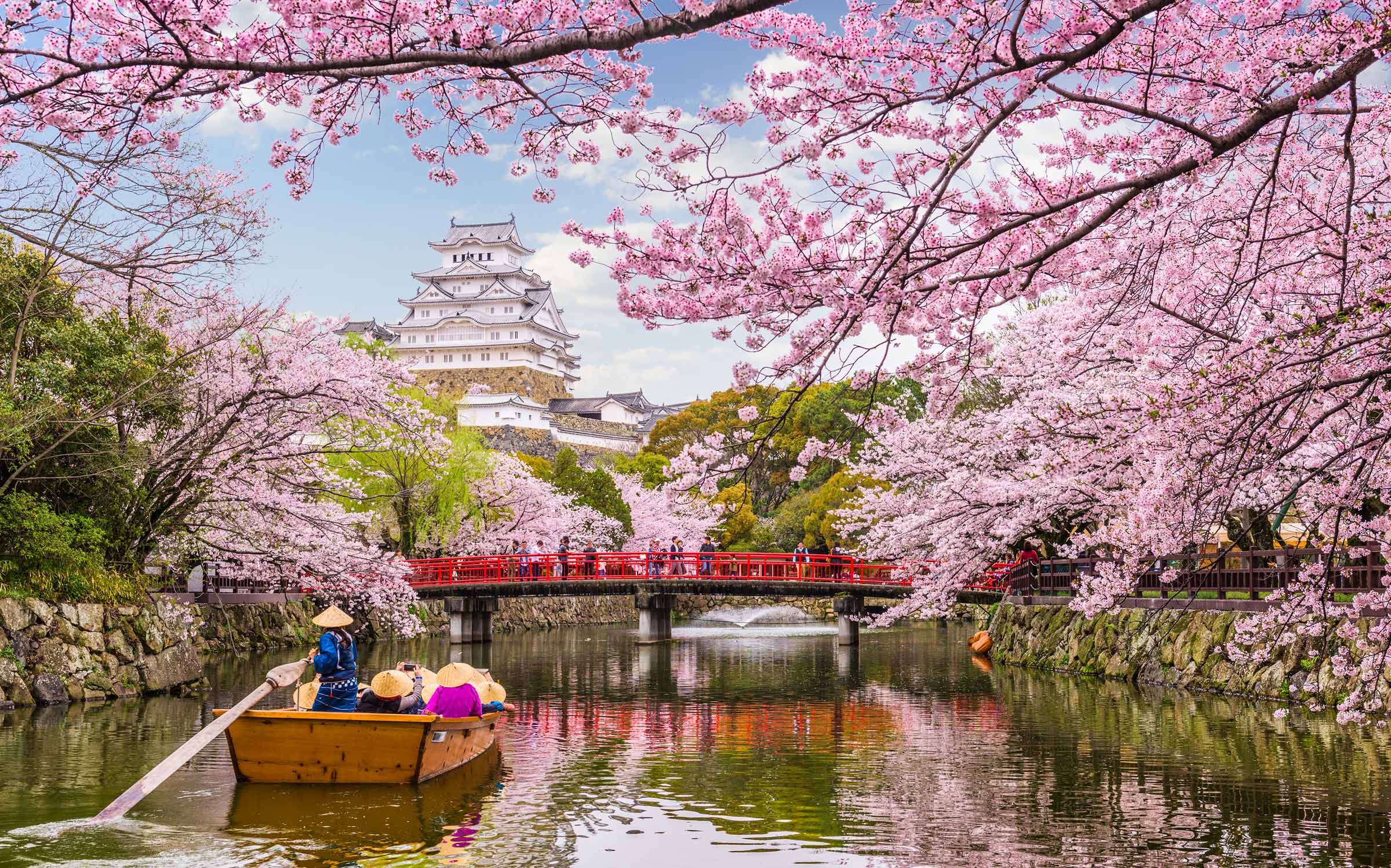 Canal with Cherry Blossom Trees