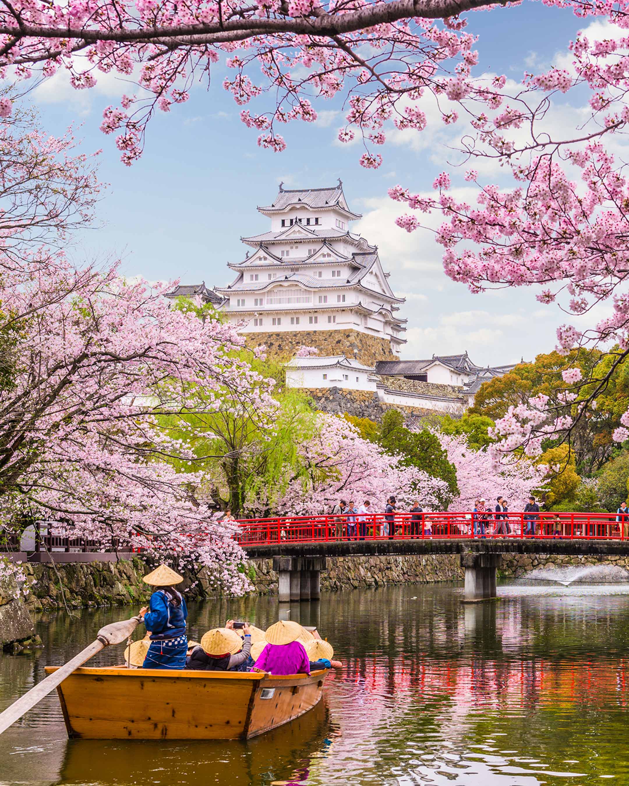 Canal with Cherry Blossom Trees